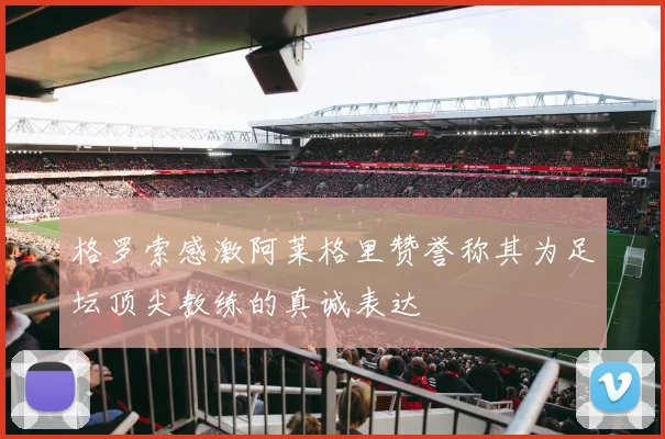 格罗索感激阿莱格里赞誉称其为足坛顶尖教练的真诚表达